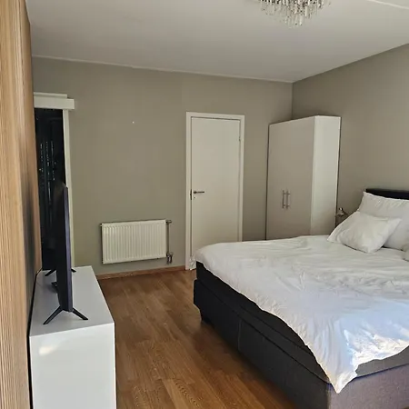 Cozy & In The Royal Heart Of *